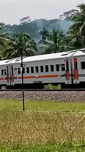 This train travels around almost half of Java Island every day. #railway #train #indonesianrailway | Syabil Aryasatya