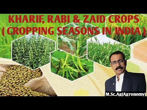 Kharif, Rabi and Zaid Crops - Cropping seasons in India