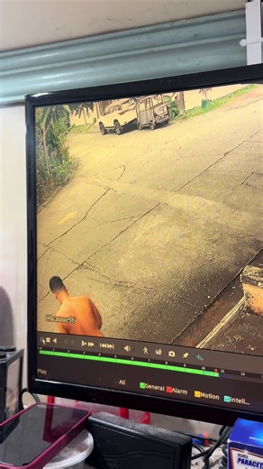 Sharing Kindness: Helping the Homeless and Healing the World