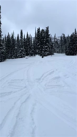 …@Polaris Inc get me in 2 ft of snow and I’ll really throw it…#trucktok #fyp #dogsoftiktok #relatable