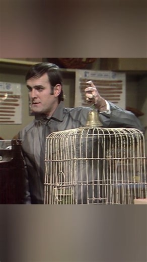 Toter Papagei ✅ Monty Python John Cleese Eric Idle Monty Python’s Flying Circus #gestern #damals
