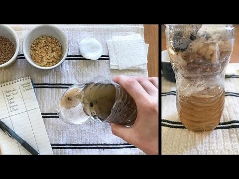 Learning Space with NASA - Make a Water Filter