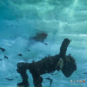 Ils devront se protéger l'un l'autre pour tenter de survivre. Alpha au cinéma le 22 août. | Sony Pictures