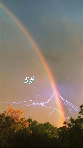 Perfect Timing Picture's #shorts​​ #shortsfeed​​ #perfecttiming​​ #photography​​ #aesthetic​​ #trend