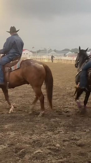 Baileyyy (@baileybell)’s videos with original sound - Secretariat