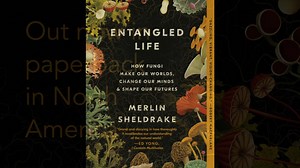 3.8K views · 280 reactions | My son Merlin’s bestselling book Entangled Life comes out in North America today in paperback. Available now from Penguin: https://www.penguinrandomhouse.com/books/566795/entangled-life-by-merlin-sheldrake/ | Rupert Sheldrake | Facebook