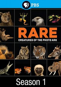 Rare: Creatures of the Photo Ark: Episode One