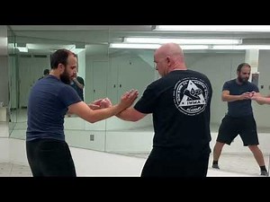 💥 Hung Gar: One Hand Combat Techniques