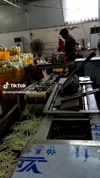 Papaya Shredder for High-Efficiency Processing