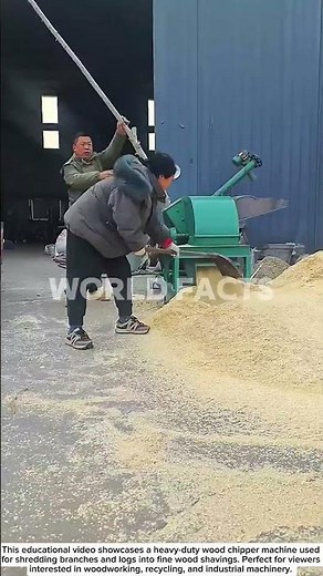 Powerful Wood Chipper Machine – High-Speed Wood Shredding Process!