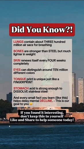 249K views · 2.1K reactions | Facts About the Human Body #facts #fblifestyle #DidYouKnow | Time Facts | Facebook