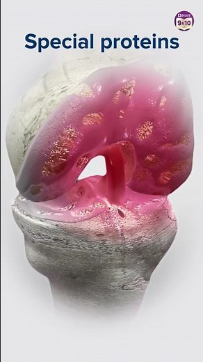 What is Cartilage Tissue: Functions, Types & How it Prevents wear and tear of Joints & Bones | BYJUS