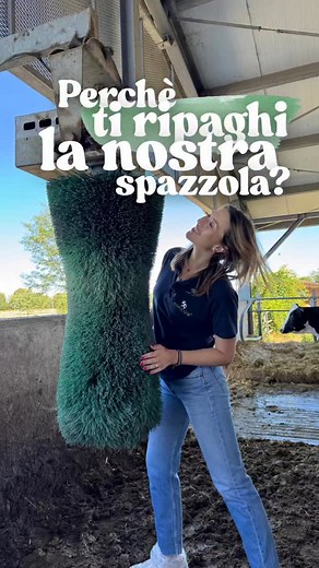 Sai in quanto ti ripaghi una spazzola come questa?! 🐮 Agricow 30 anni di esperienza in Cow Comfort e progettazione stalle 📞 380 638 3748 🤔 Hai dubbi o domande sul mondo degli allevamenti? ✅ Scrivile nei commenti #allevamento #allevatoriitaliani #vacche #benessereanimale #allevatori #agricoltura #vitelli | Michaela Agricow