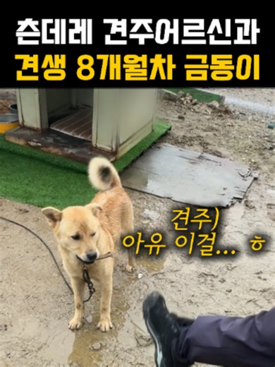 금동이 집 환경개선하기: 비 오는 날 6시간 작업 후기