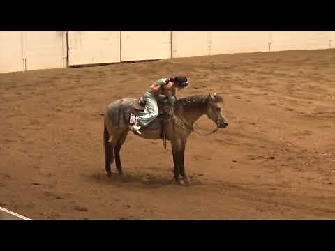 2019 Quarter Horse Congress Freestyle Reining Karla June Switzer A Spark of Sunshine mp4