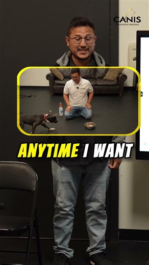 🚨 The #1 sound you should be using to discipline your dog! 🚨