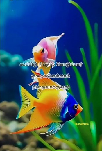 😍கூப்பிடு நீ👍🐠பதில் கொடுப்பார் ✝️🙏🧎❣️Koopidu Nee Pathil Koduppar❗🛐Fr.Berchman🌟✌️whatsapp🎵 #ஷார்ட்ஸ்