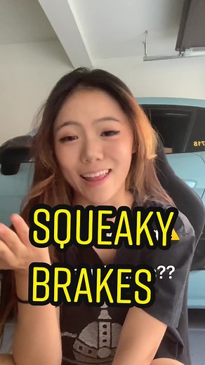 Understanding Squeaky Brakes: A TED Talk