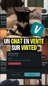 Un chat a été mis en vente pour 35€… sur Vinted… par sa propriétaire. Peu de temps après sa mise en ligne, l’annonce a été repérée par l’association Left Paw Cat Rescue, qui est parvenue à récupérer le chat. | Vakita