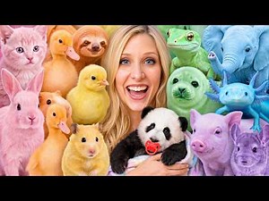 I Adopted BABY Animals in One Color!