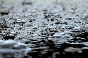 What To Do on a Rainy Day in St. Pete, FL (2026 Guide)