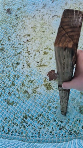 breaking frozen pool ice