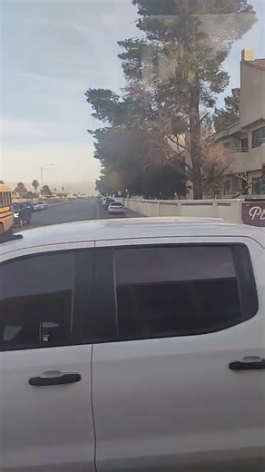 2017 blue bird vision #175010