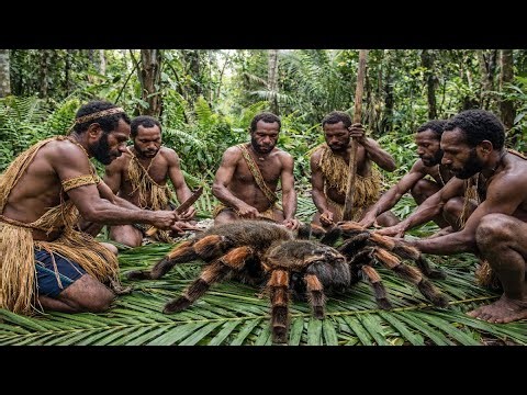 In the Amazon rainforest, the Korowai tribe hunts and eats giant spiders