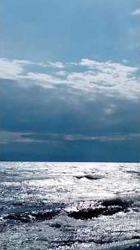 ♫. .Luciano Pavarotti - "Caruso",(1986)