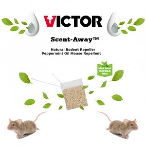 If you're looking for a safe, convenient way to get rid of mice in your home, the search is over! The tiny granules in our Scent-Away Repellent Packs are infused with a powerful, mouse-repelling peppermint oil, a scent that mice dislike and avoid. | Victor Pest | Facebook