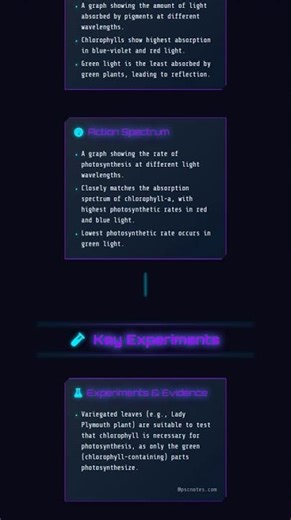 Photosynthetic pigments: Types, absorption and action spectra