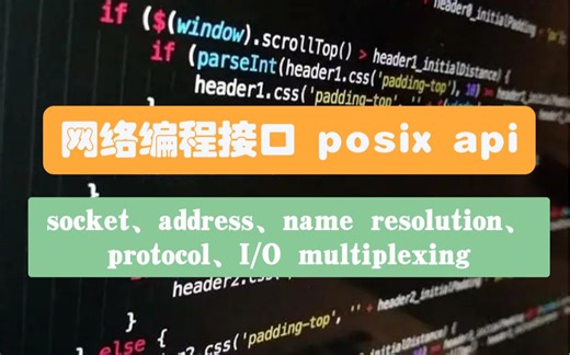 网络编程接口 posix api 实现原理（socket、address、name resolution、protocol、I/O multiplexing）