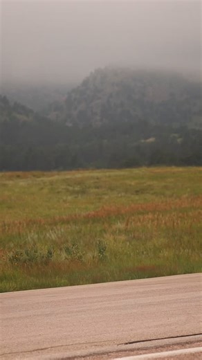 2.8K reactions · 35 shares | This. Is. Sturgis. Well. Technically...