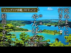 【教えたくない】沖縄北部・やんばる旅行のおすすめ絶景・グルメがすごすぎた【ジャングリア沖縄・沖縄観光ガイド・絶景スポット・穴場ビーチ・定番から穴場スポットまとめ・世界遺産・観光・国頭村】