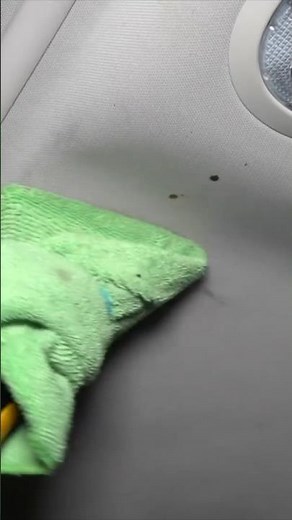 How To Clean The Headliner In Your Vehicle!