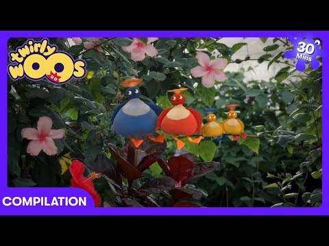 Twirlywoos - Tiny Butterfly & Starfish | Kids Cartoons | WildBrain Preschool