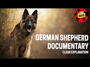 German Shepherds Full Documentary : The Untold Story They Don't Want You to Know!