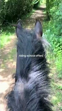 Riding School Progression | From Beginner to Confident Rider