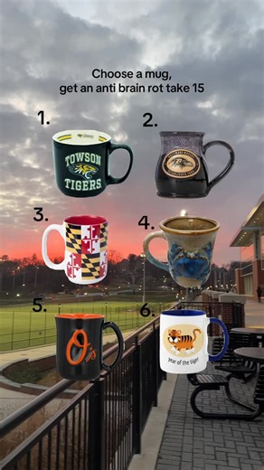 Towson Hospitality on Instagram: "Choose a mug, get an anti brain rot take 15 activity to do over break! 1. Nature walk scavenger hunt Go for a walk outside and try to find a plant or animal for every color of the rainbow. Lady bug for red, Ginko leaf for yellow, etc. 2. 3 song dance party Choose 3 of your favorite, upbeat songs and dance like nobody is watching to release some endorphins. 3. Call a loved one you haven’t spoken to in a while Social connection is good for both our brains and our 