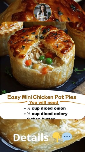 54K views · 298 reactions | Mini Chicken Pot Pies 不 Flaky, creamy, and full of comfort—these individual chicken pot pies are perfect for dinner, parties, or meal prep. Everything you love in a pot pie, baked into fun hand-sized portions! #MiniChickenPotPies #ComfortFood #EasyDinnerIdeas #MealPrepFriendly #HandHeldDelight | Recipes sophia | Facebook