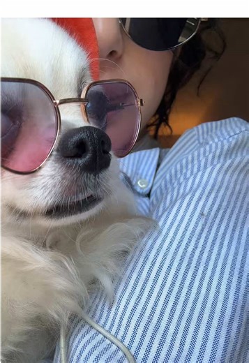 Os vídeos de gabisaleh_ (@gabisaleh_) com som original - gabisaleh_