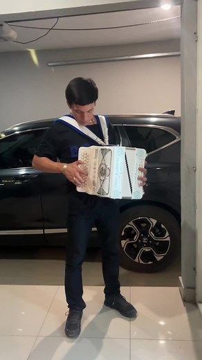 Exploring the Artistic Side of Accordion Playing