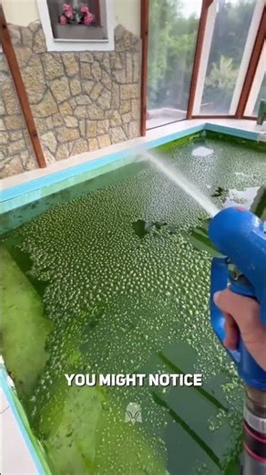 Why Swimming Pools Never Need Draining 😳💧
