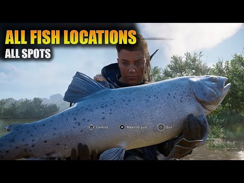 All Fish Locations - Assassin's Creed Valhalla (Good Catch Trophy)