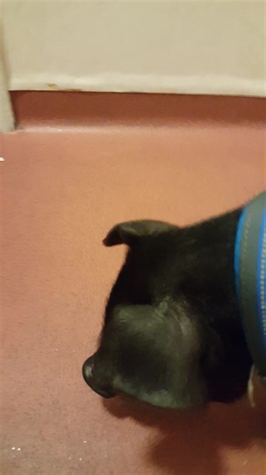 2K views | The Pink Floyd Experience on Reels | Facebook