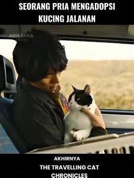 A GOOD MAN ADOPTS A CAT ⁉️ #shortvideo #filmstoryline