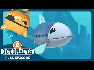 ‪@Octonauts‬ - 🐟 The Lost Sardine School 🏫 | Season 1 | Full Episode | Cartoons for Kids