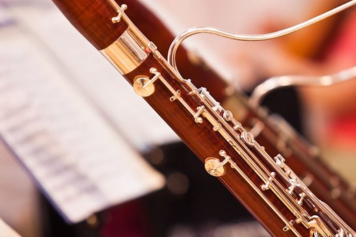 Bassoon: the orchestra's largest wind instrument | Classical Music