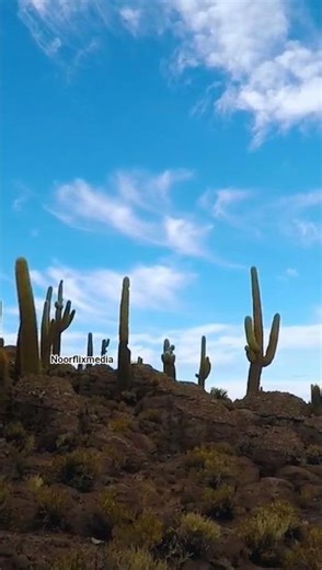 🕌 সালাত মুমিনের ঢাল ✨#নামাজ #islamicknowledge