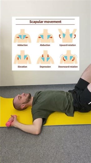 маленькі стабілізуючім'язи плеча,створюють міцну основу,потрібну для того, щоб залишатися без травм.